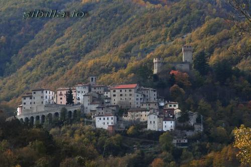 arquata1a.jpeg