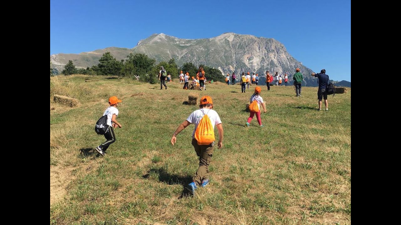 Arquata Summer Camp