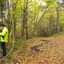 L'immagine può contenere: albero, pianta, spazio all'aperto e natura