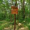 L'immagine può contenere: albero, pianta, cielo, spazio all'aperto e natura