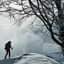 L'immagine può contenere: una o più persone, cielo, albero, scarpe, pianta, neve, spazio all'aperto e natura