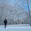 L'immagine può contenere: albero, cielo, neve, spazio all'aperto e natura