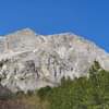 Potrebbe essere un'immagine raffigurante natura, albero e montagna